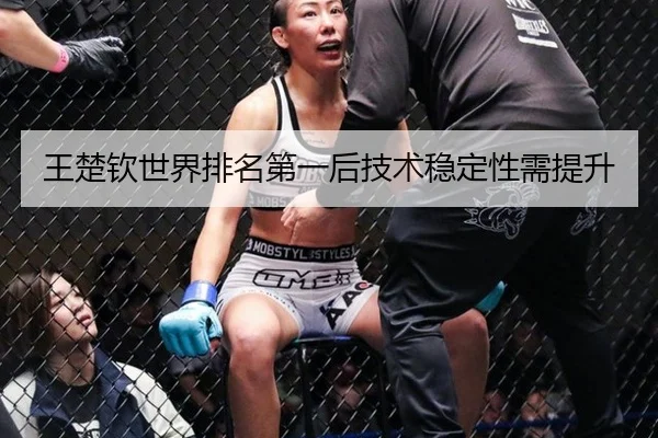 wang-chu-qin-shi-jie-pai-ming-di-yi-hou-ji-shu-wen-ding-xing-xu-ti-sheng-2-972.jpg